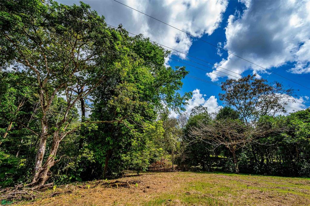 Prime Land With Private Lake