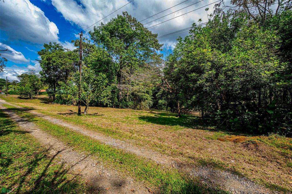 Prime Land With Private Lake