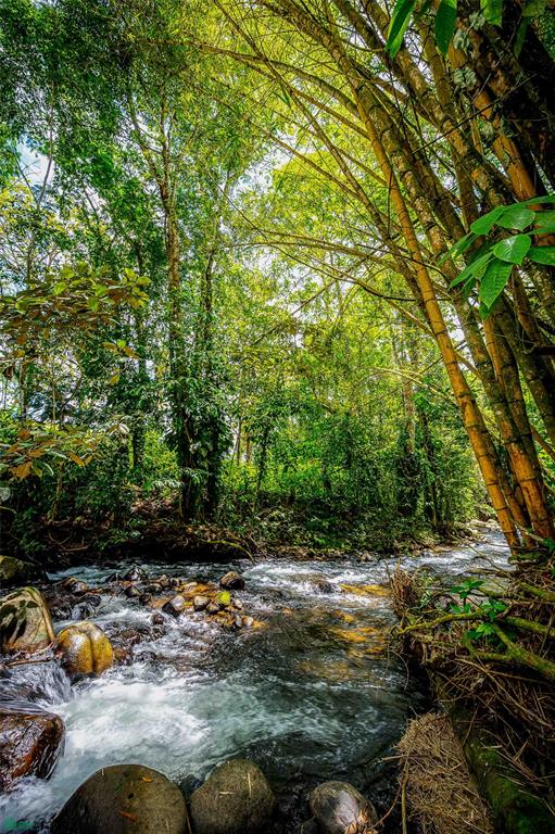 Jungle Compound With River Access