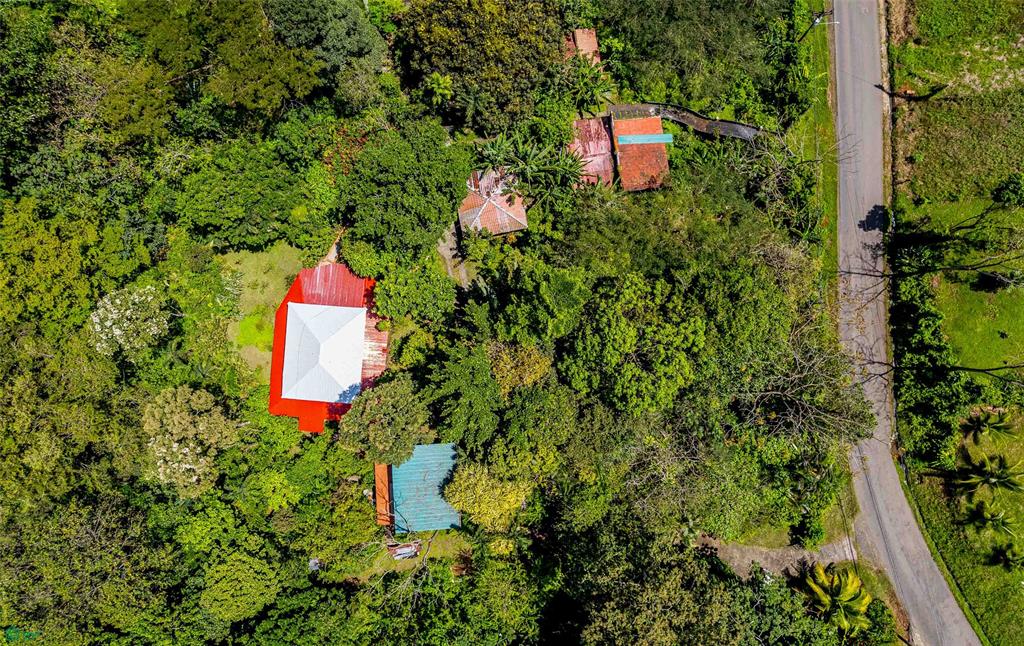 Jungle Compound With River Access
