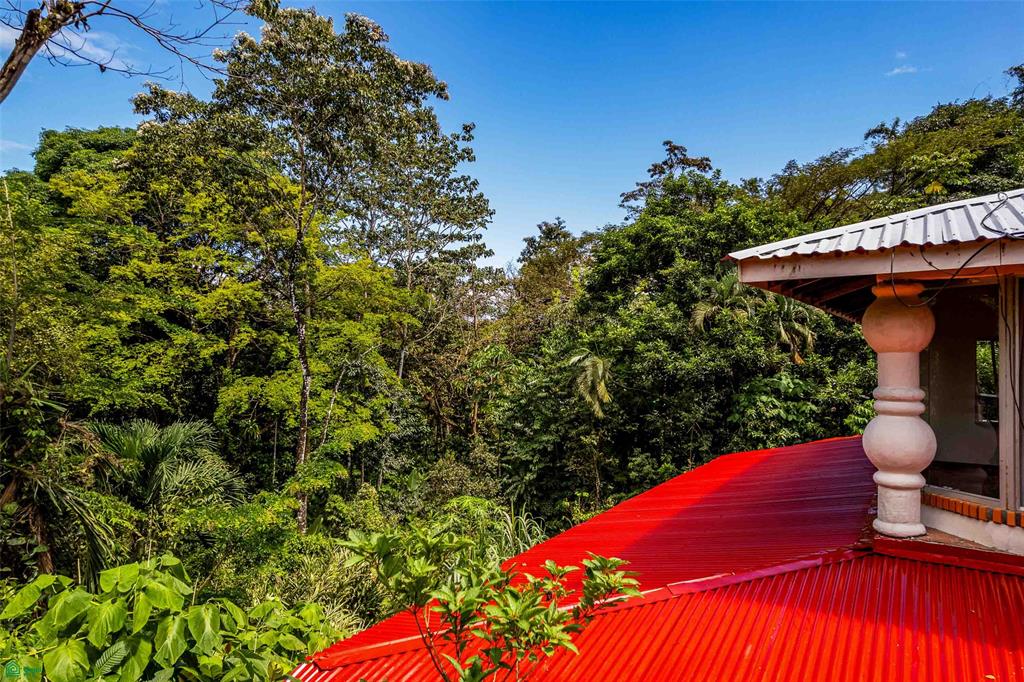 Jungle Compound With River Access