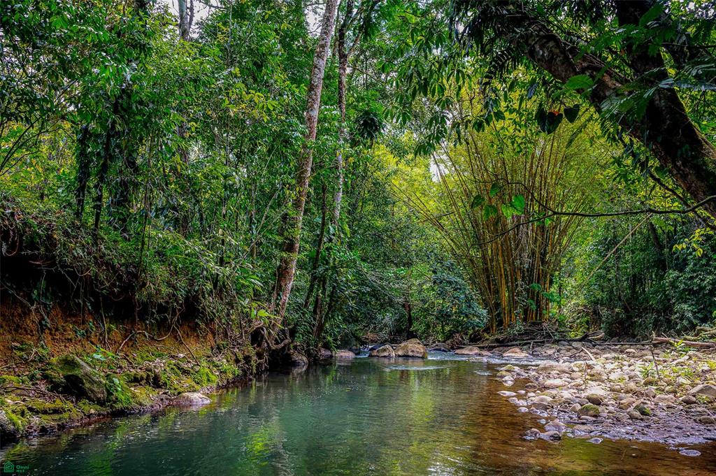 Jungle Compound With River Access