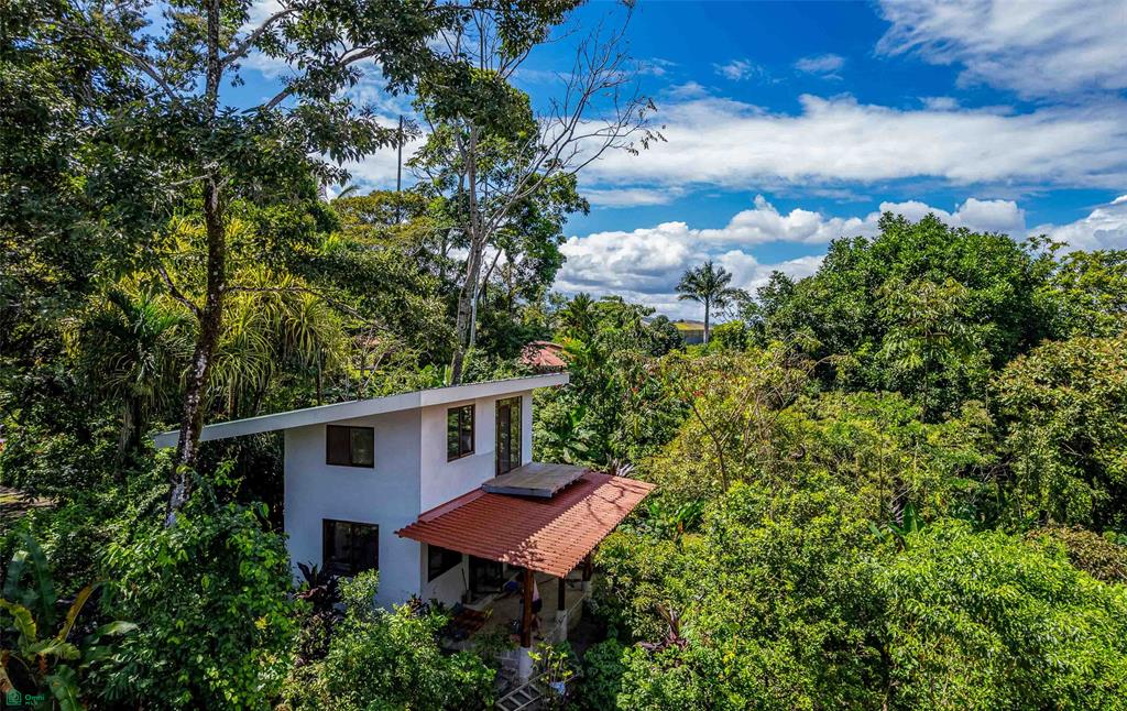 Jungle Compound With River Access