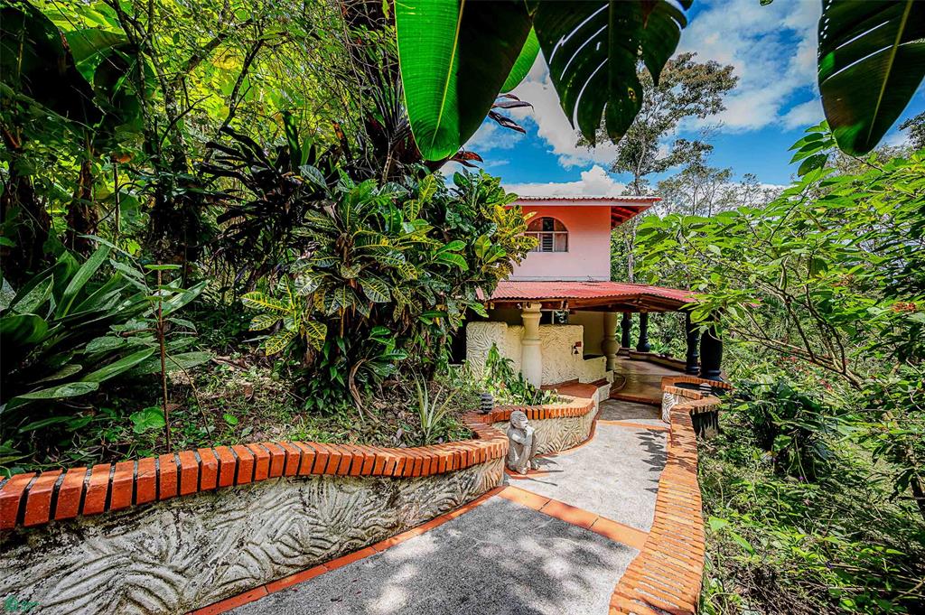 Jungle Compound With River Access