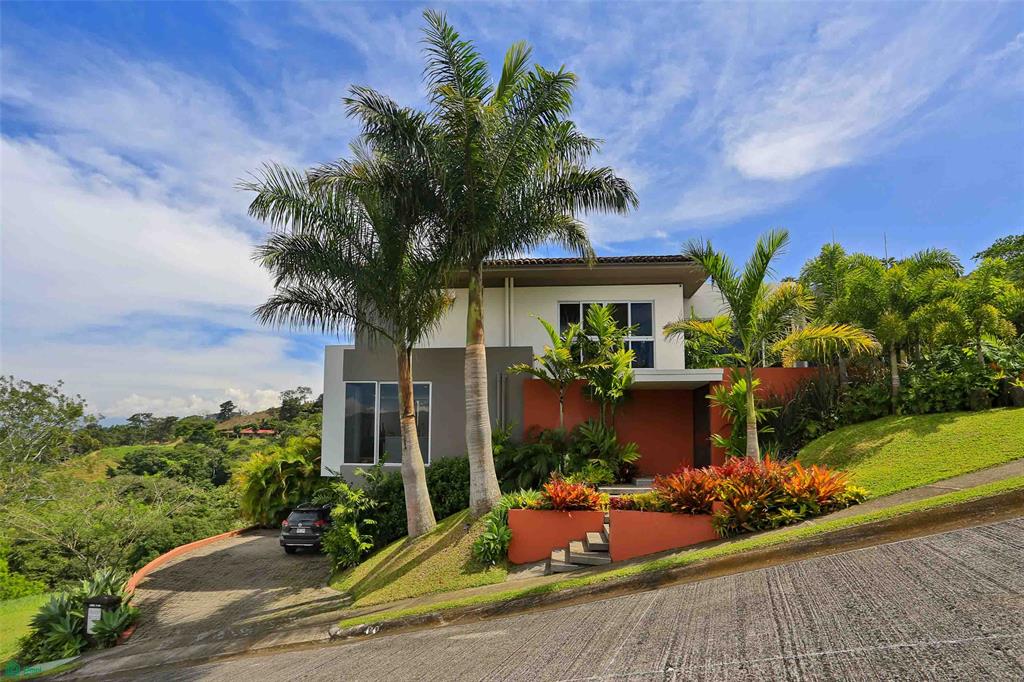 Contemporary Forest View Luxury Home