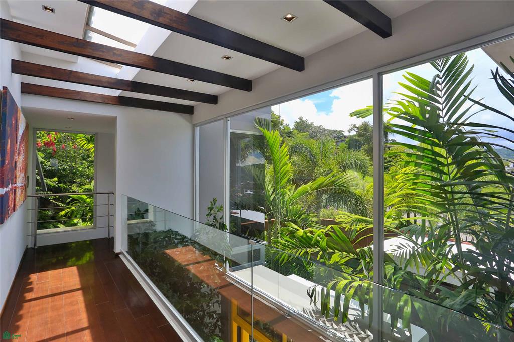 Contemporary Forest View Luxury Home