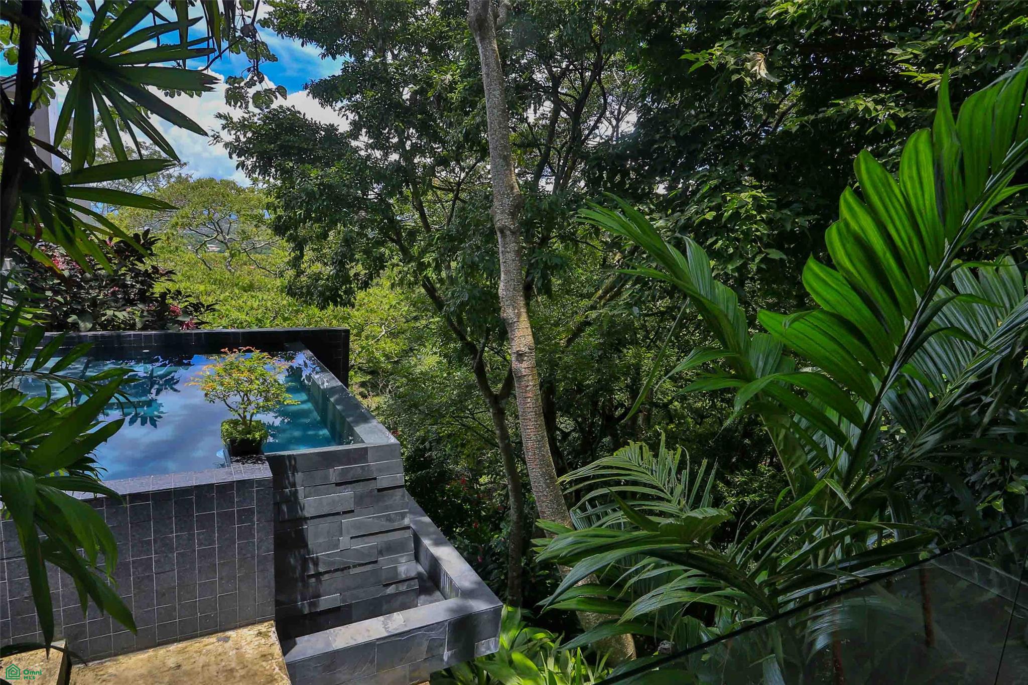 Contemporary Forest View Luxury Home