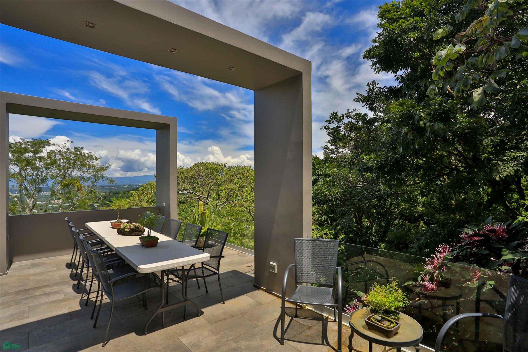 Contemporary Forest View Luxury Home
