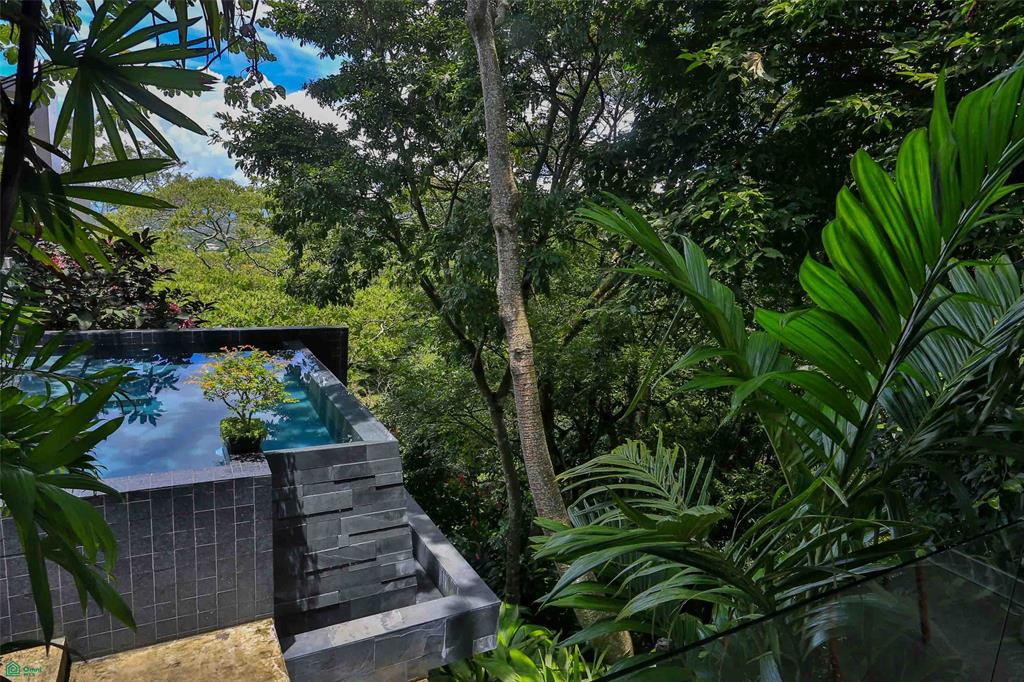 Contemporary Forest View Luxury Home