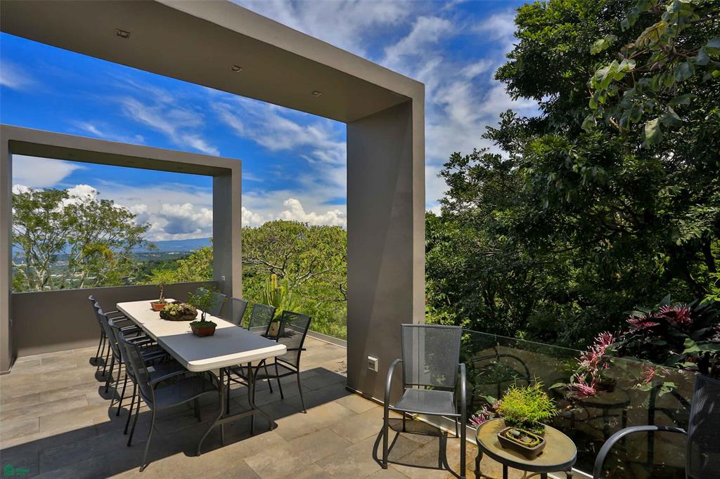 Contemporary Forest View Luxury Home