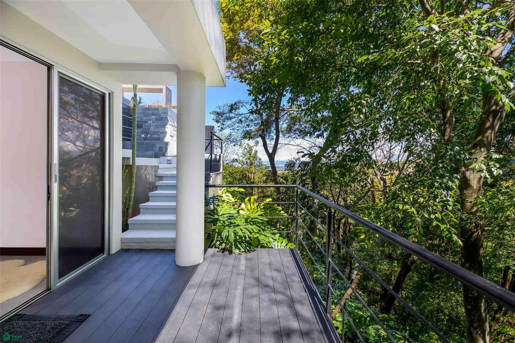 Contemporary Forest View Luxury Home