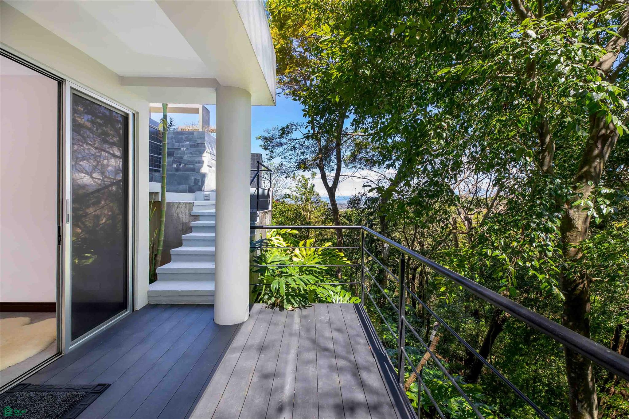 Contemporary Forest View Luxury Home