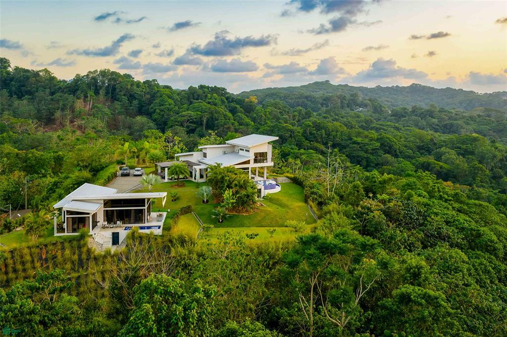 Ocean View Luxury Estate