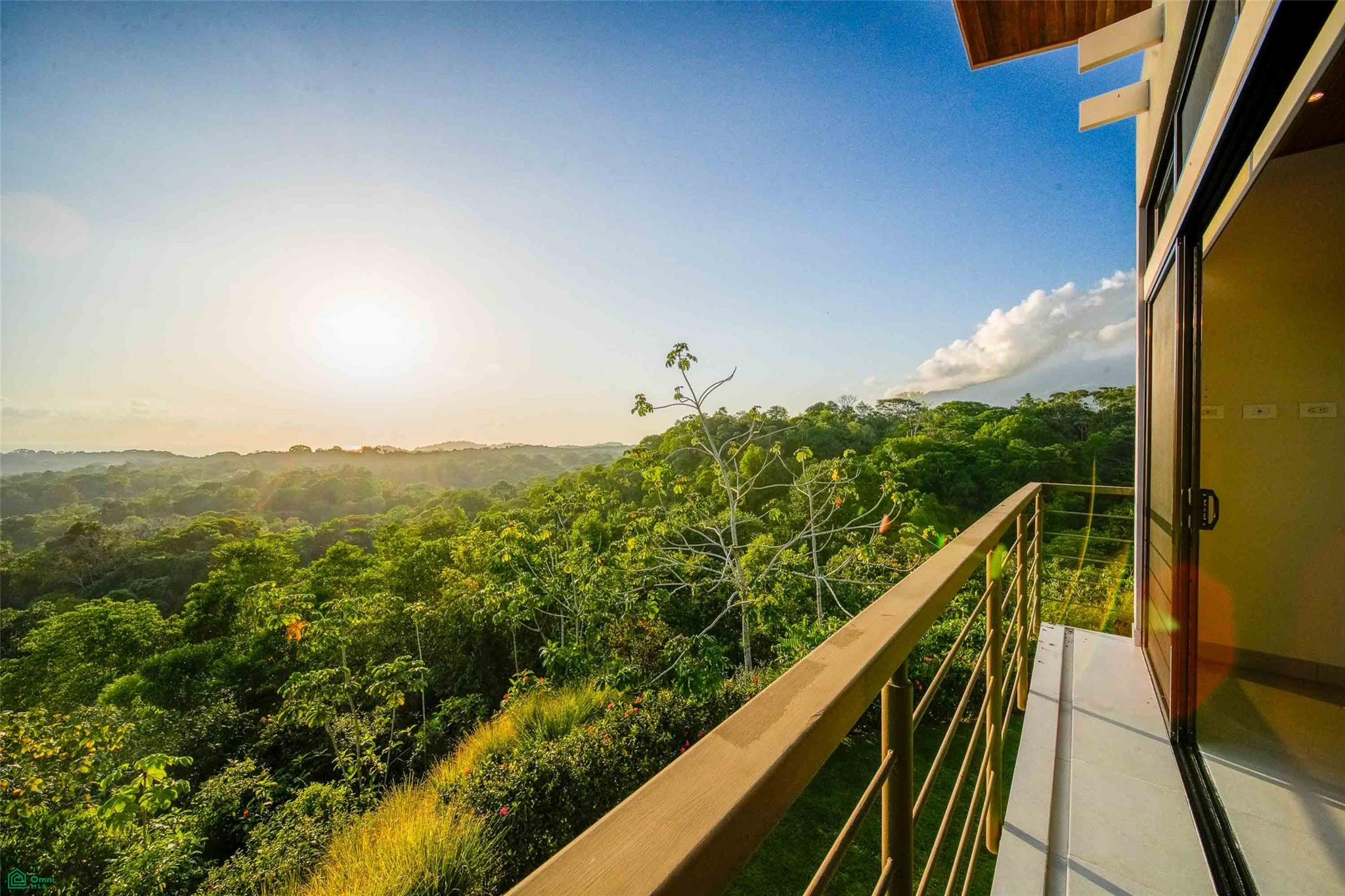 Ocean View Luxury Estate