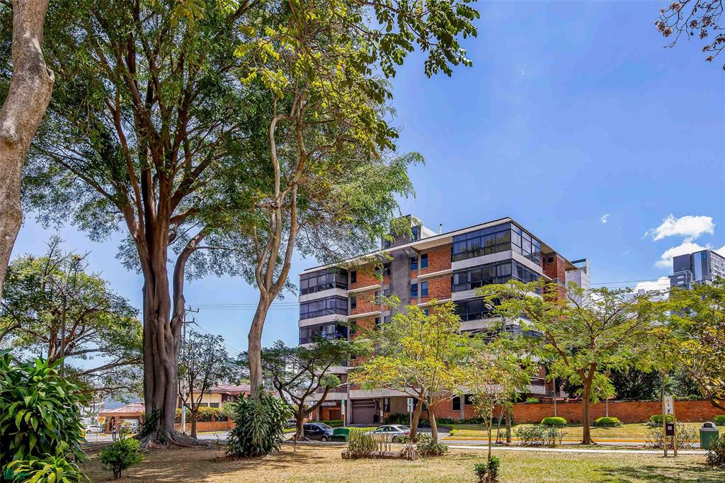 Luxury City Condo with Garden
