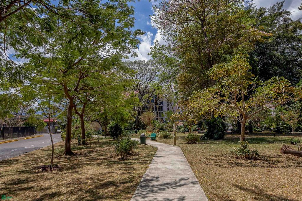 Luxury City Condo with Garden