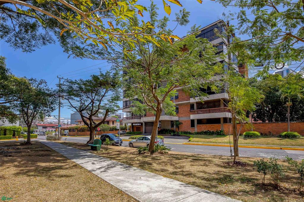 Luxury City Condo with Garden