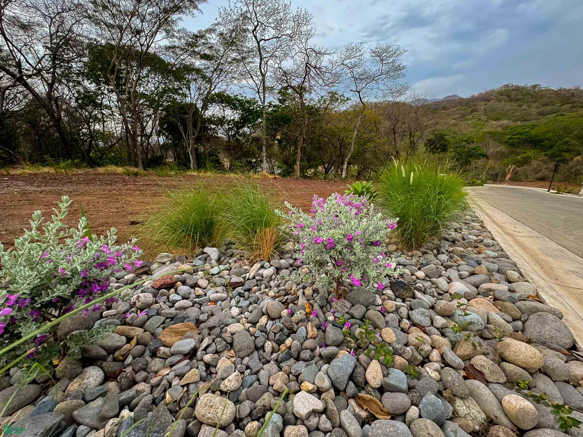 Luxury Private Lot