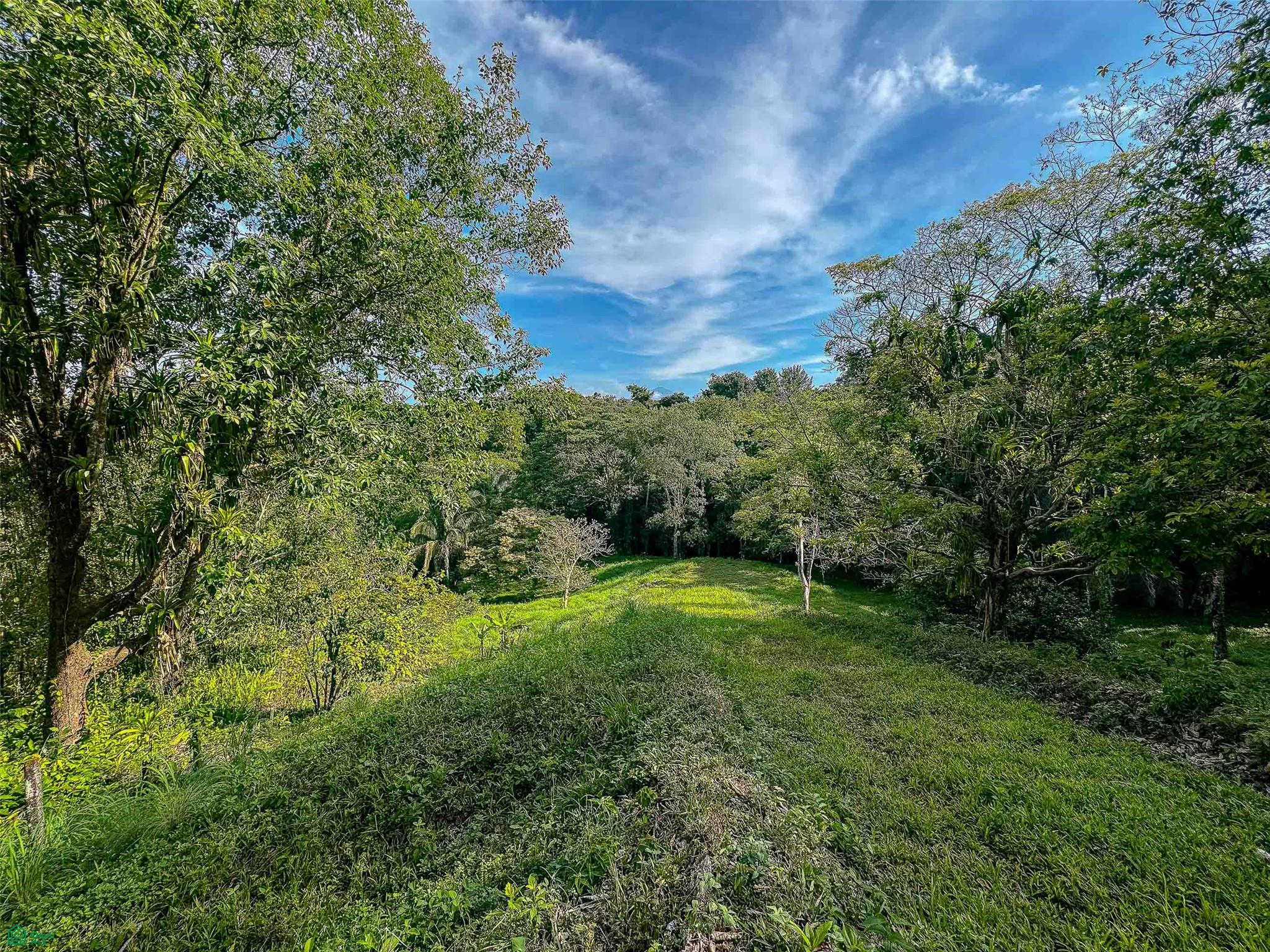 Rainforest Creek Estate