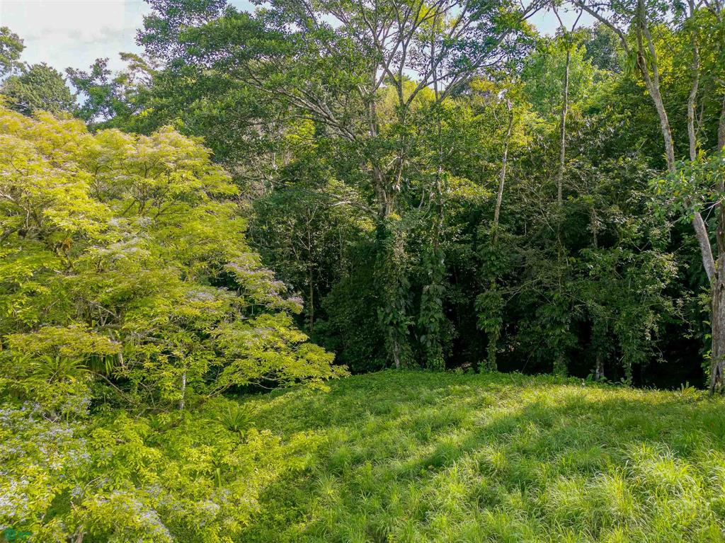 Rainforest Creek Estate