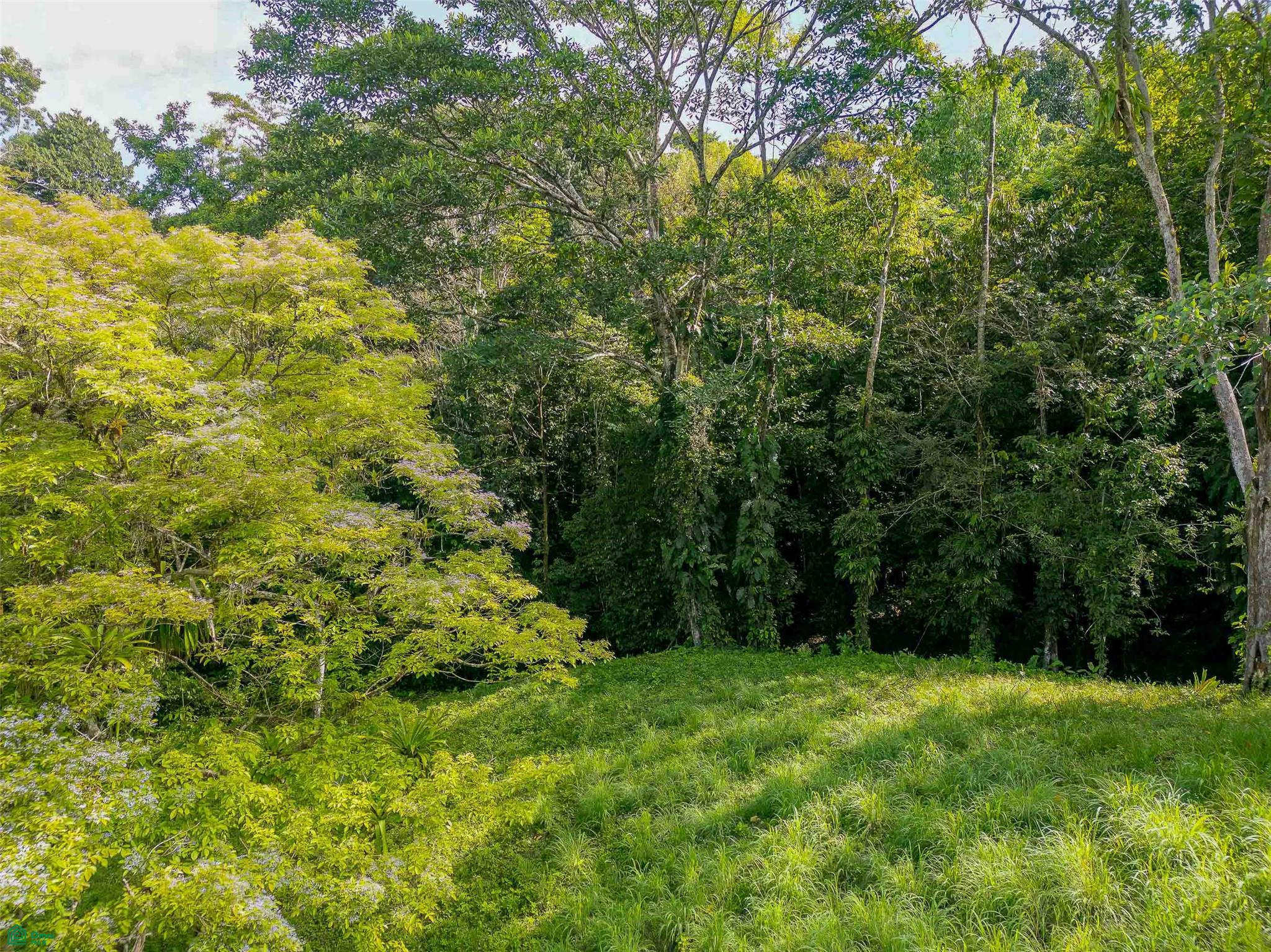 Rainforest Creek Estate