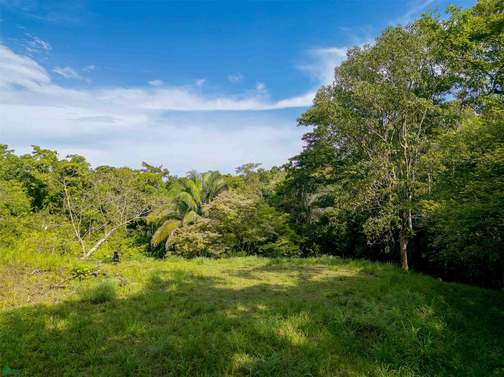 Rainforest Creek Estate