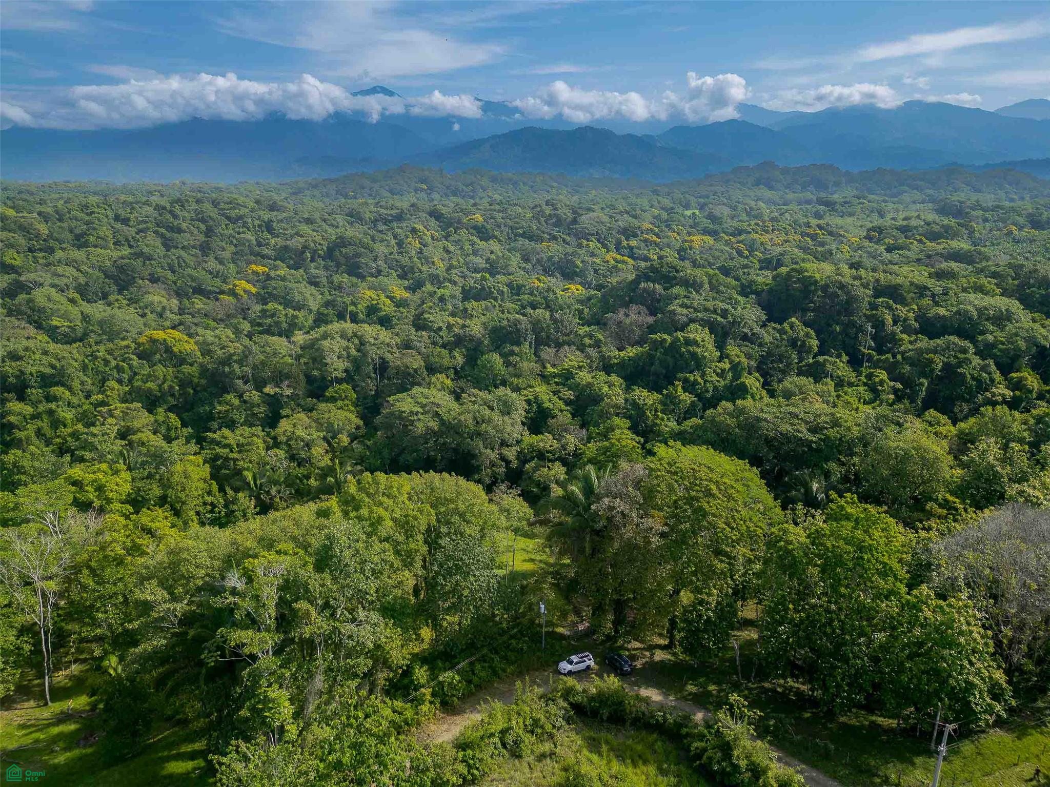 Rainforest Creek Estate