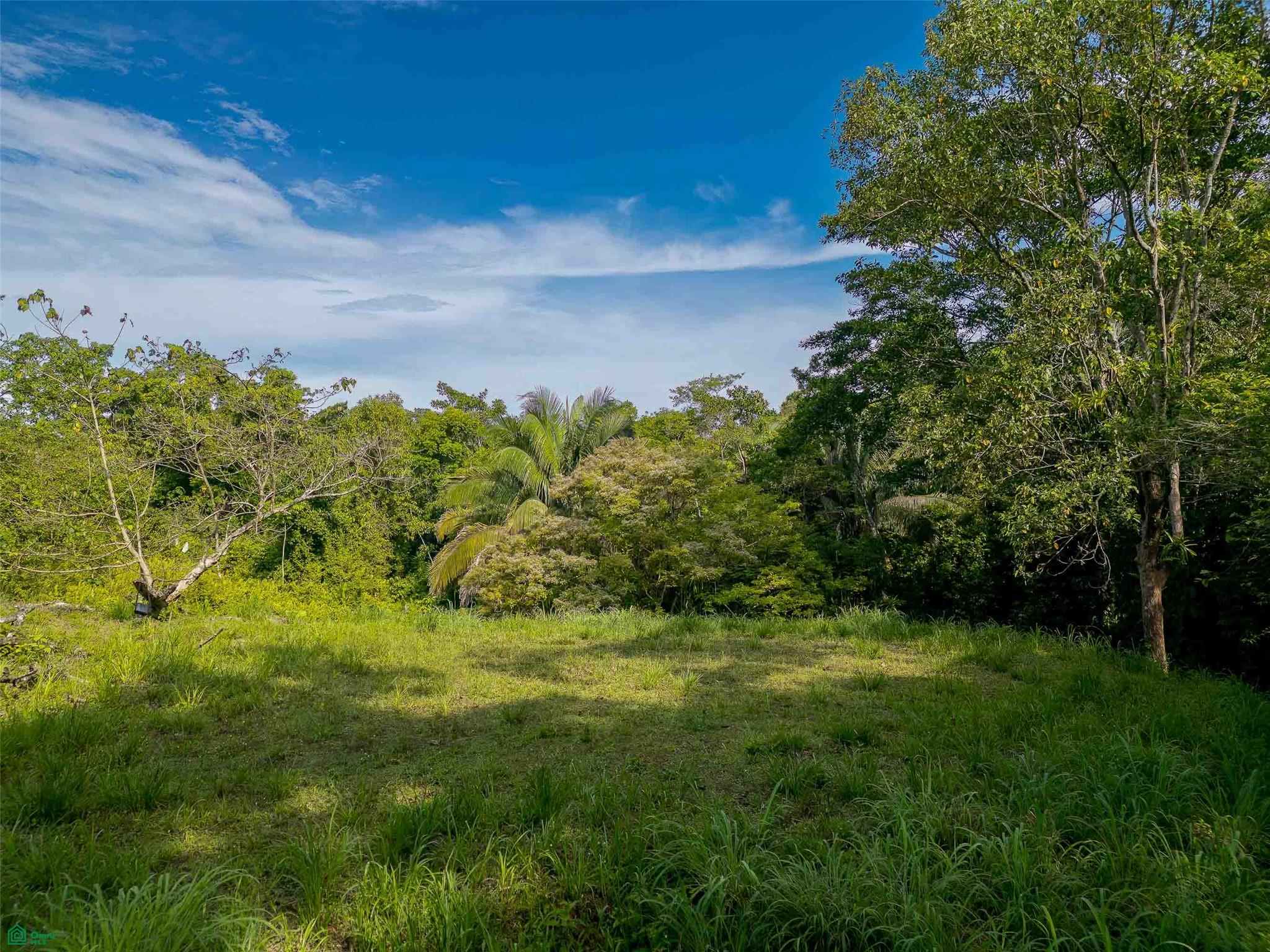 Rainforest Creek Estate