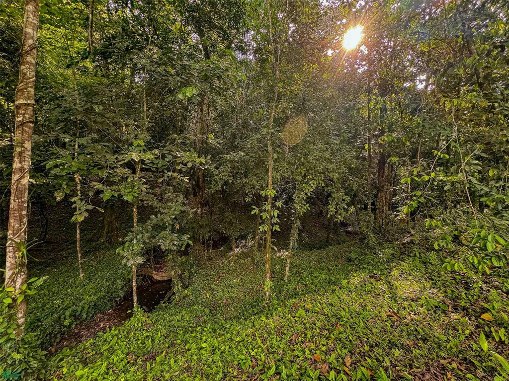 Rainforest Creek Estate
