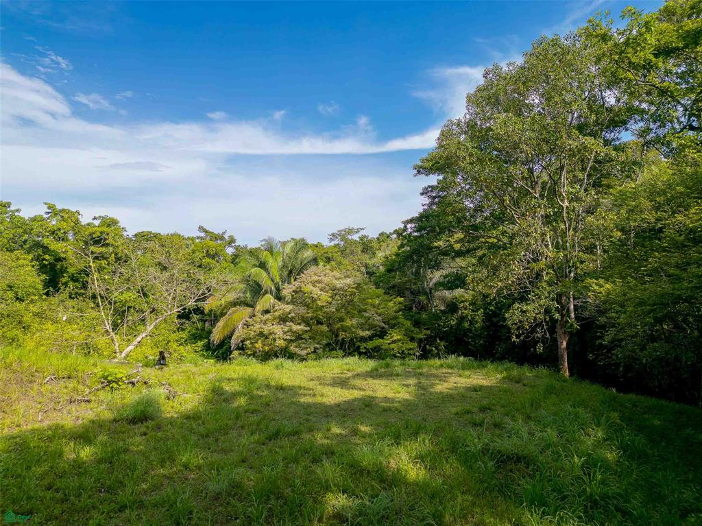 Rainforest Creek Estate