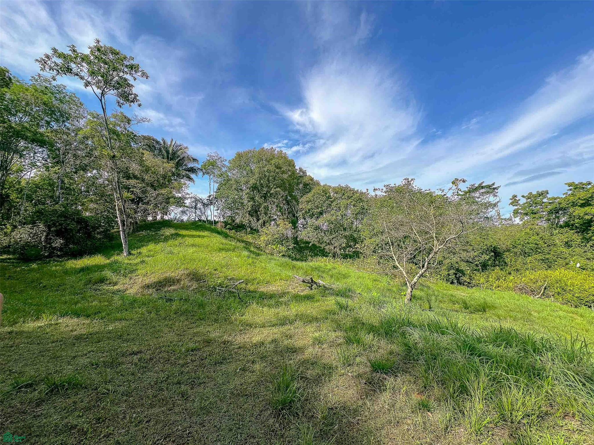 Rainforest Creek Estate