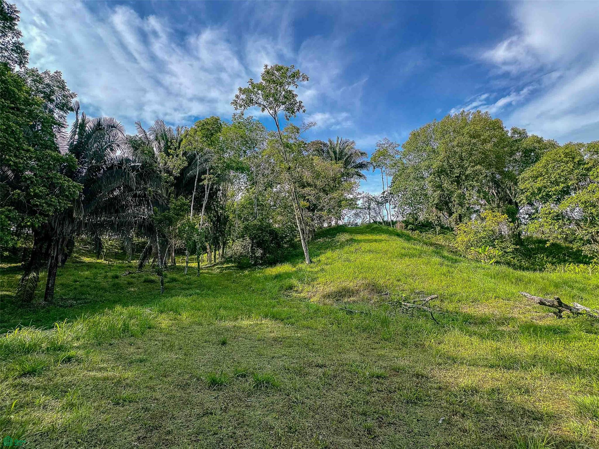 Rainforest Creek Estate
