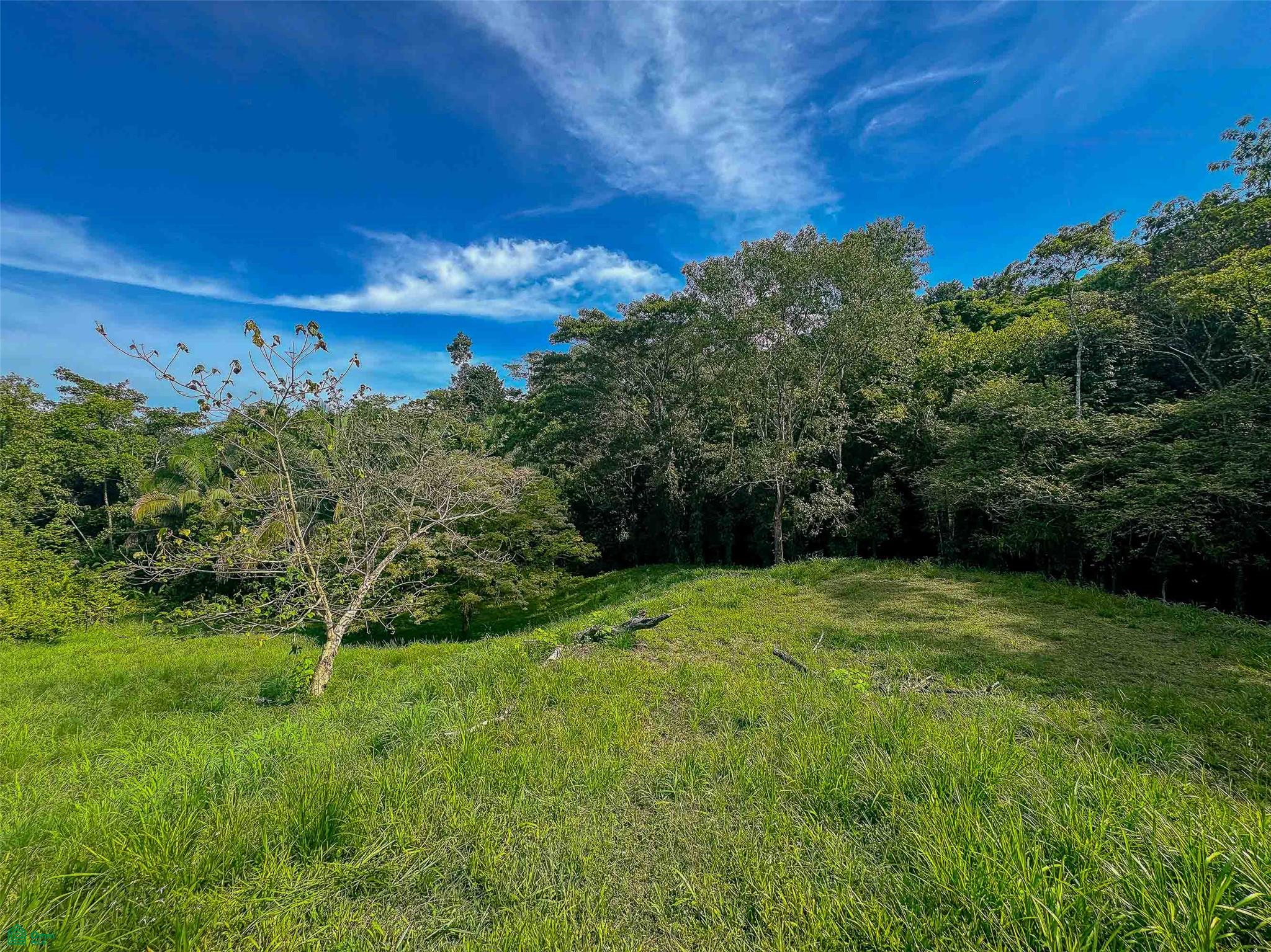 Rainforest Creek Estate