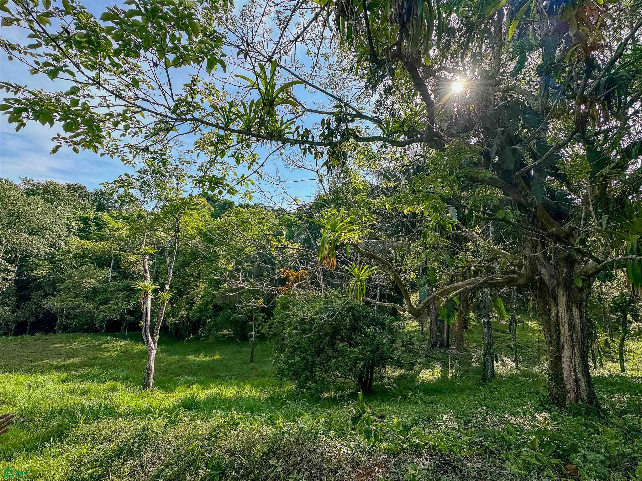 Rainforest Creek Estate