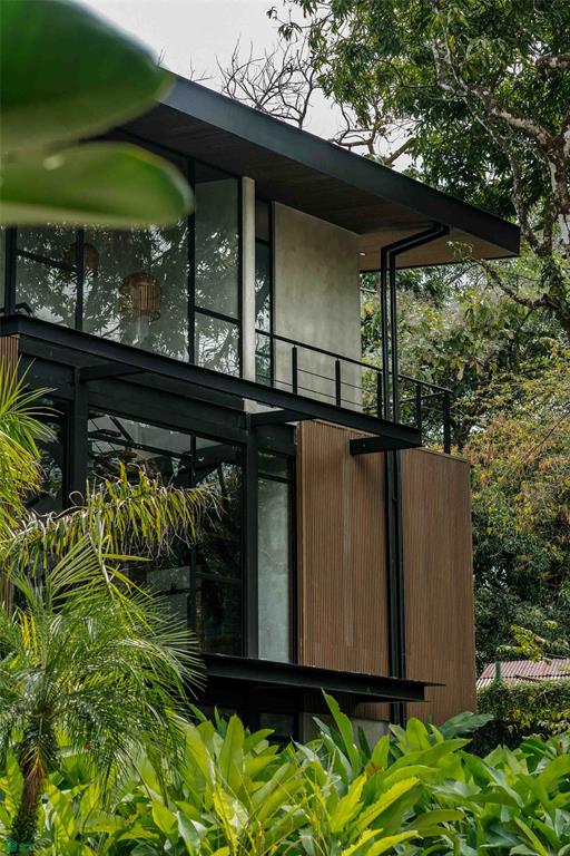 Luxury Rainforest Villa