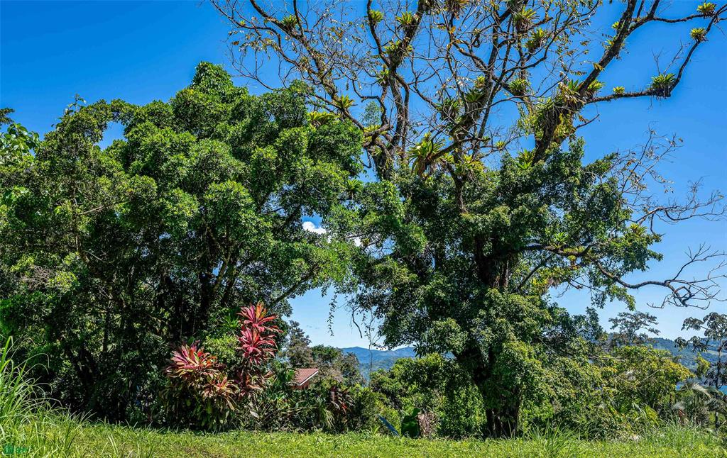 Centrally Located Lake View Lot