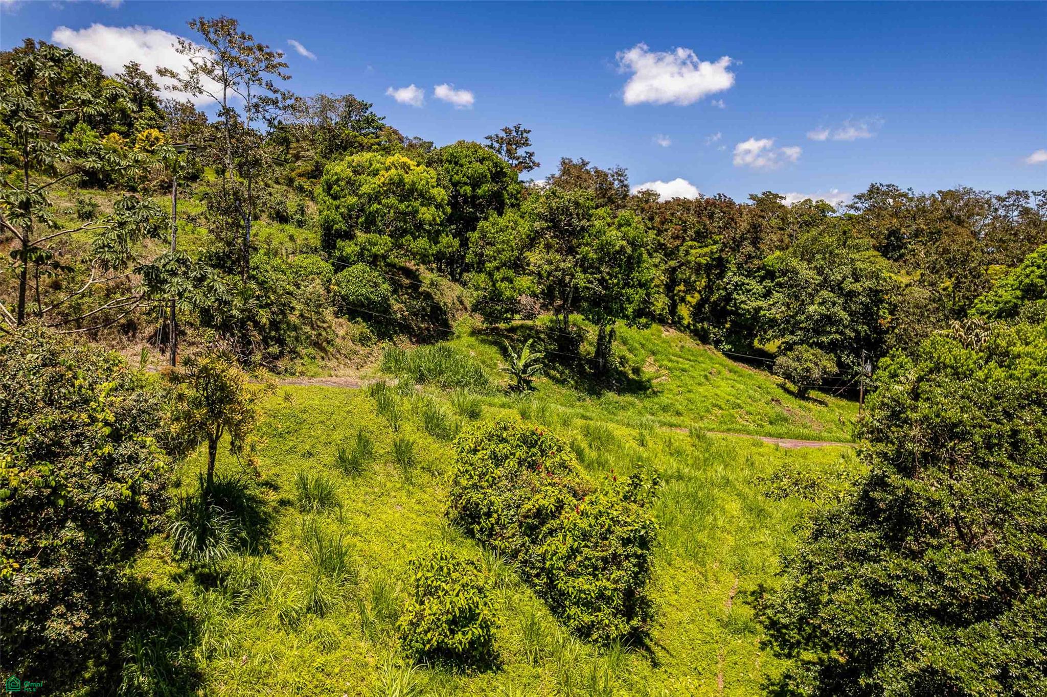 Centrally Located Lake View Lot