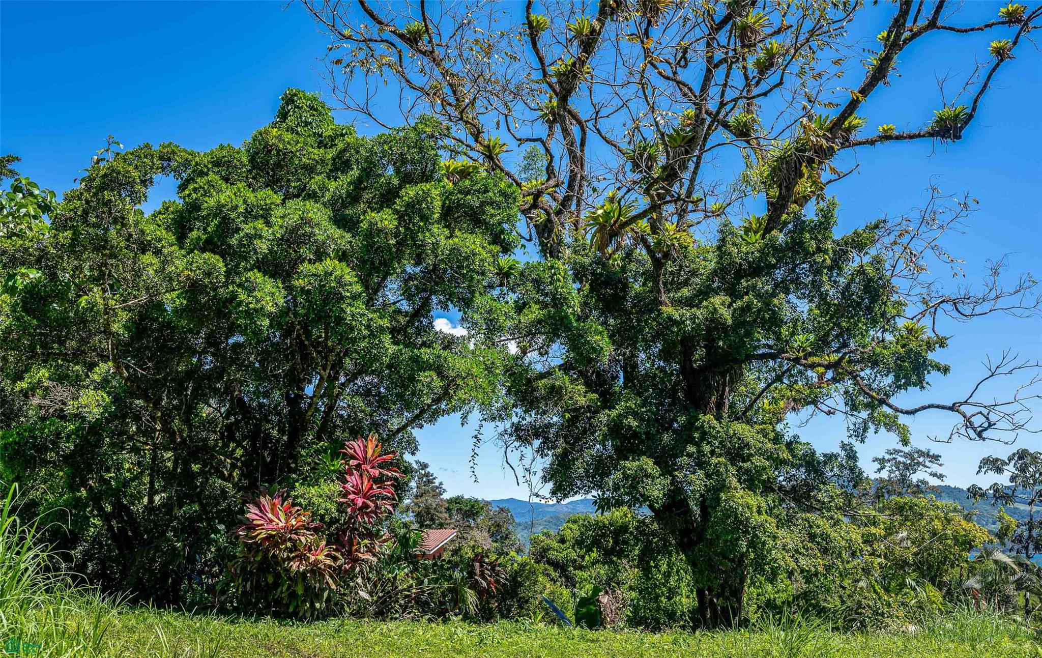 Centrally Located Lake View Lot