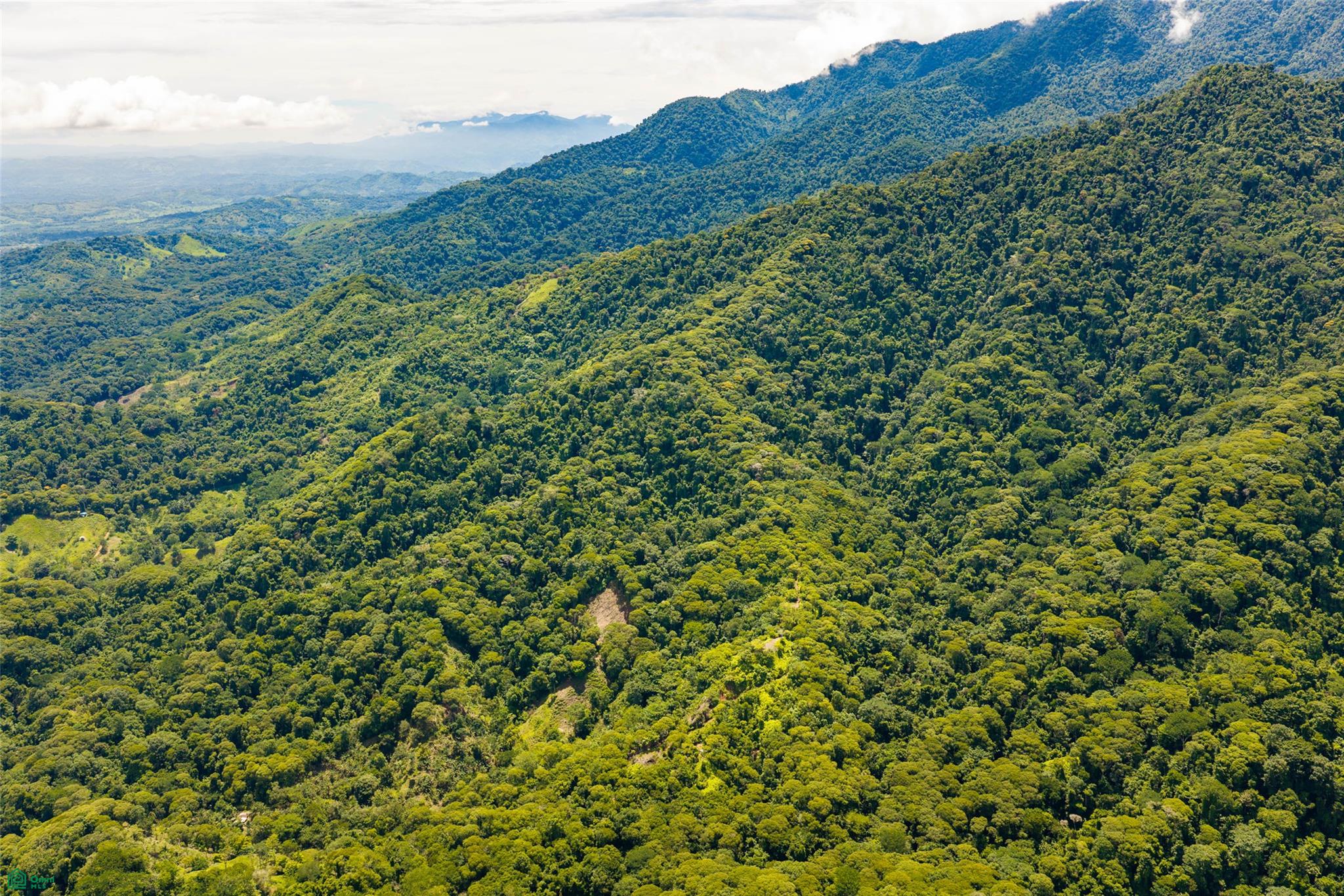 Primary Forest Land