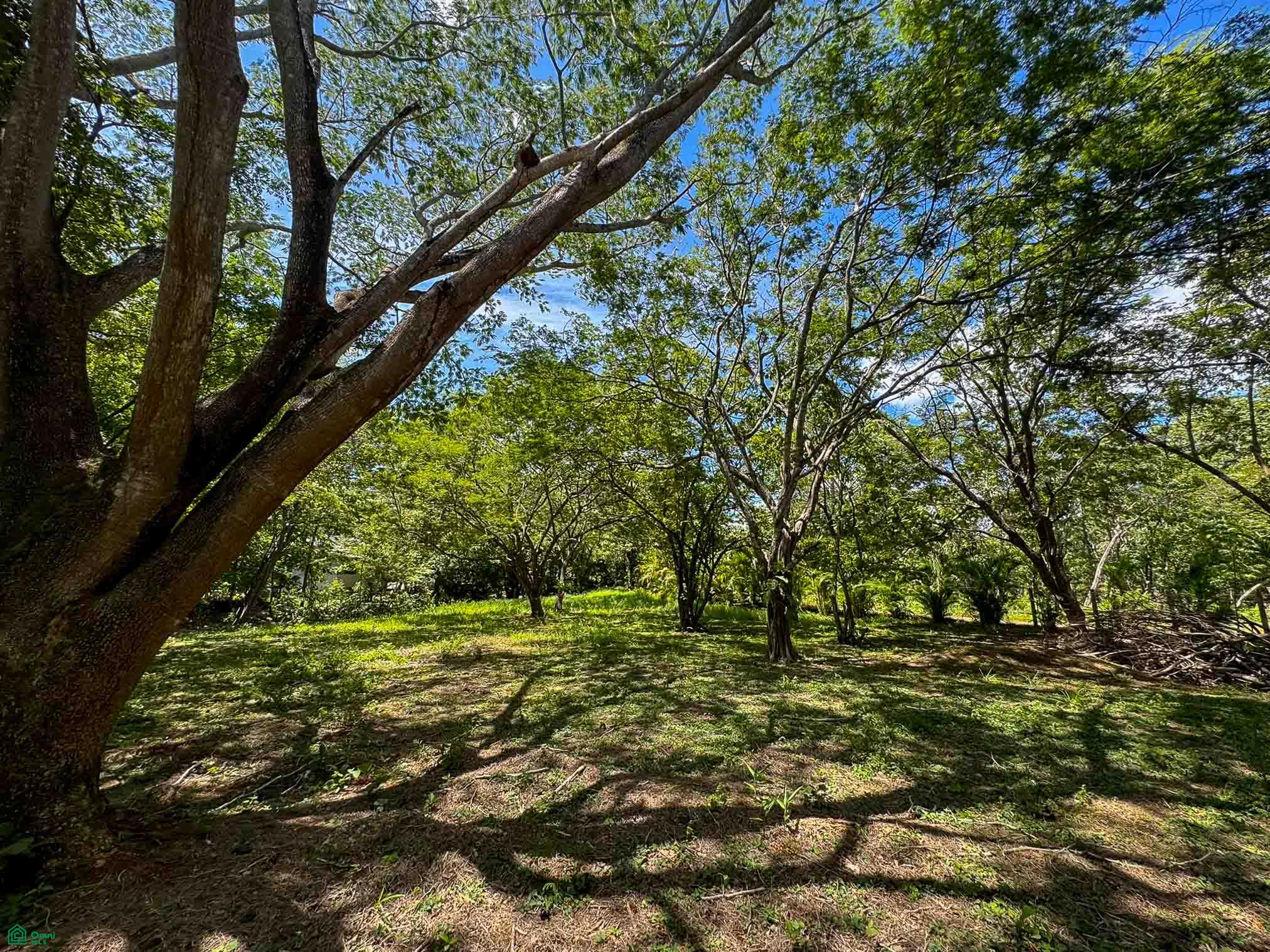 Acreage Estate Lot