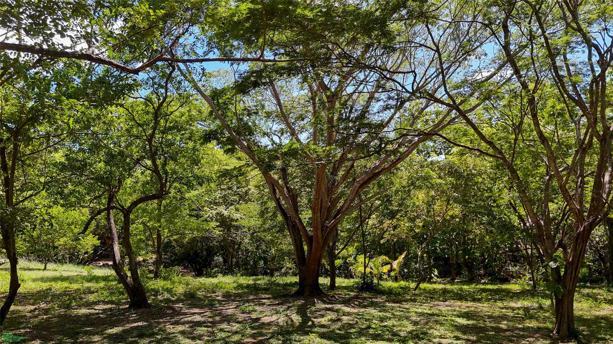 Acreage Estate Lot
