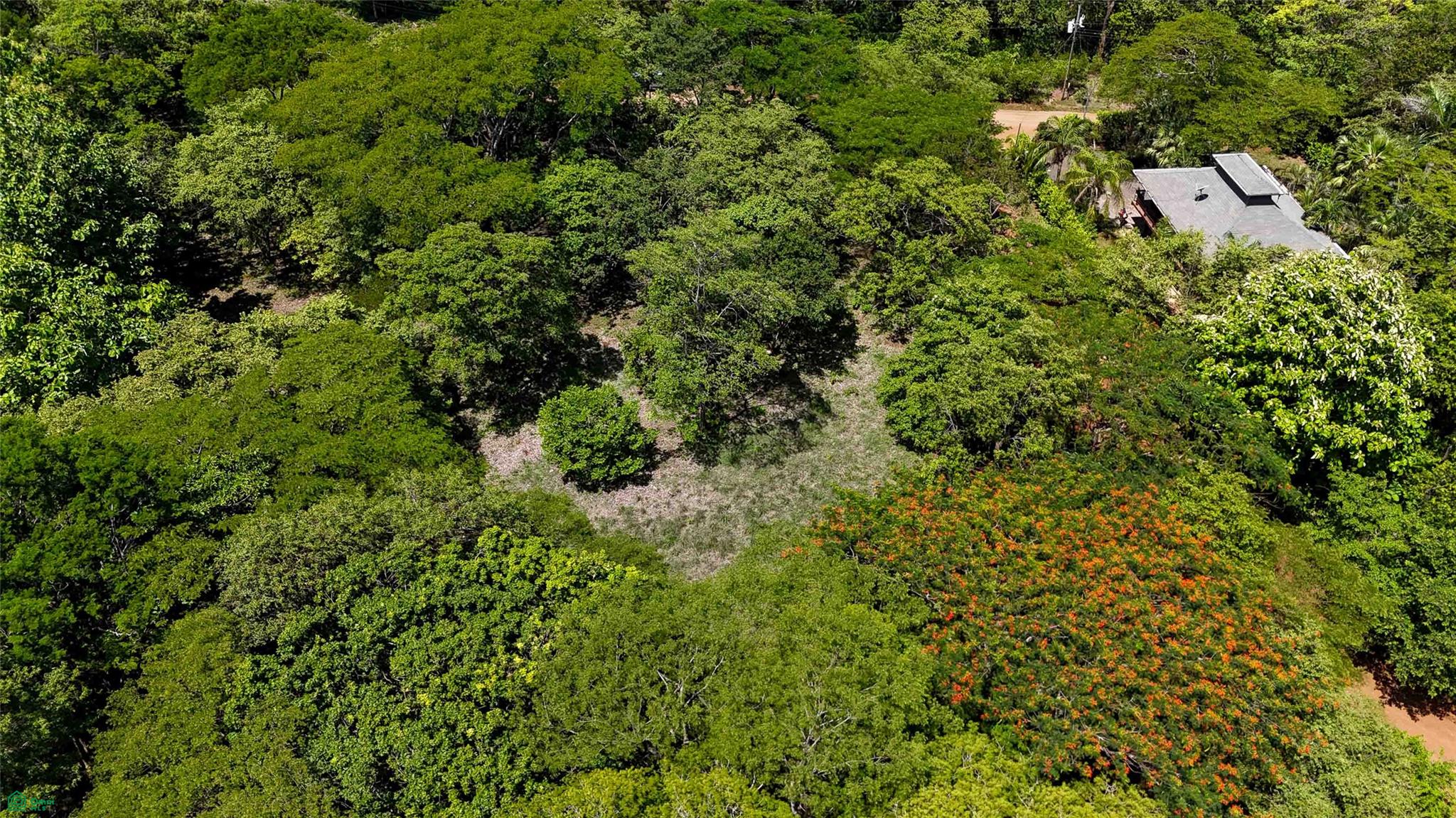 Acreage Estate Lot