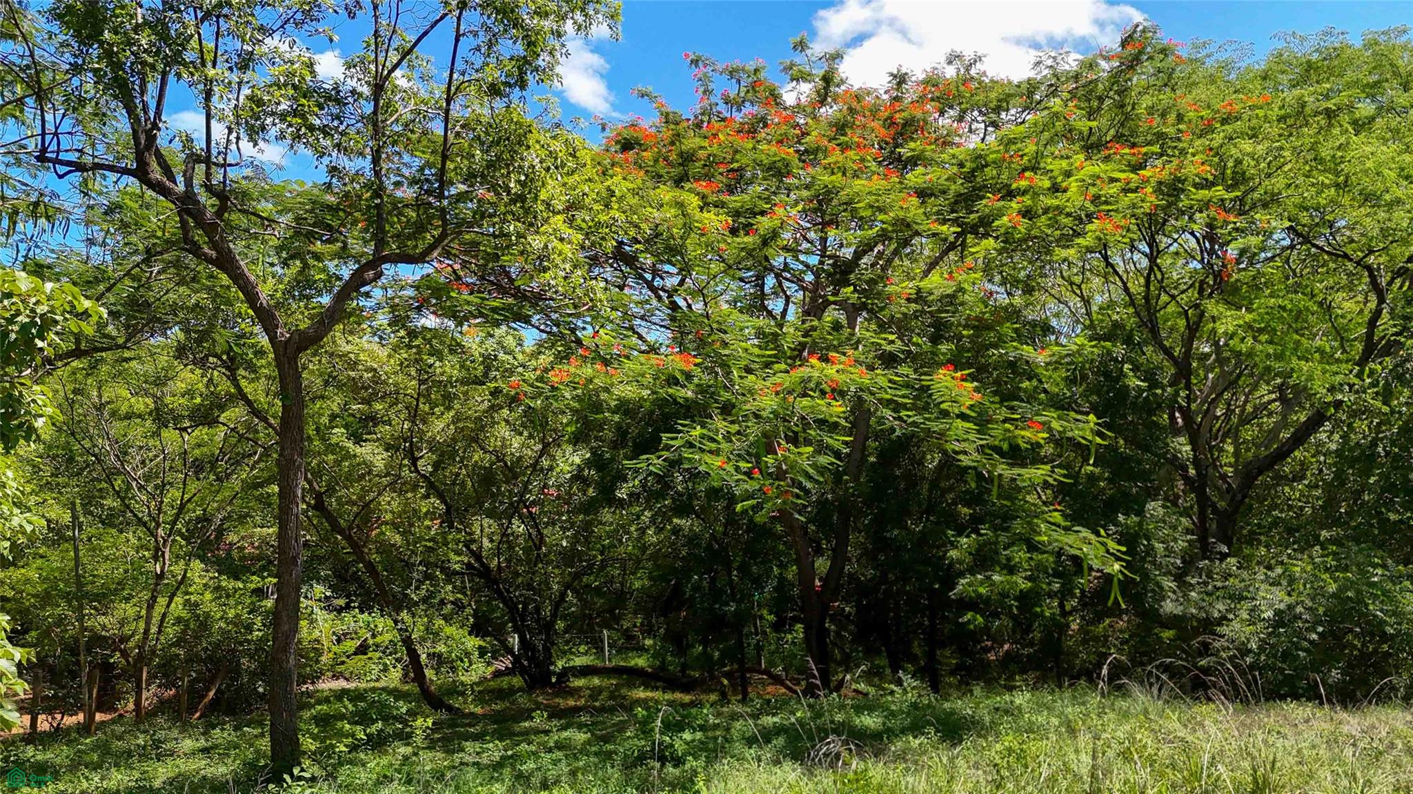 Acreage Estate Lot