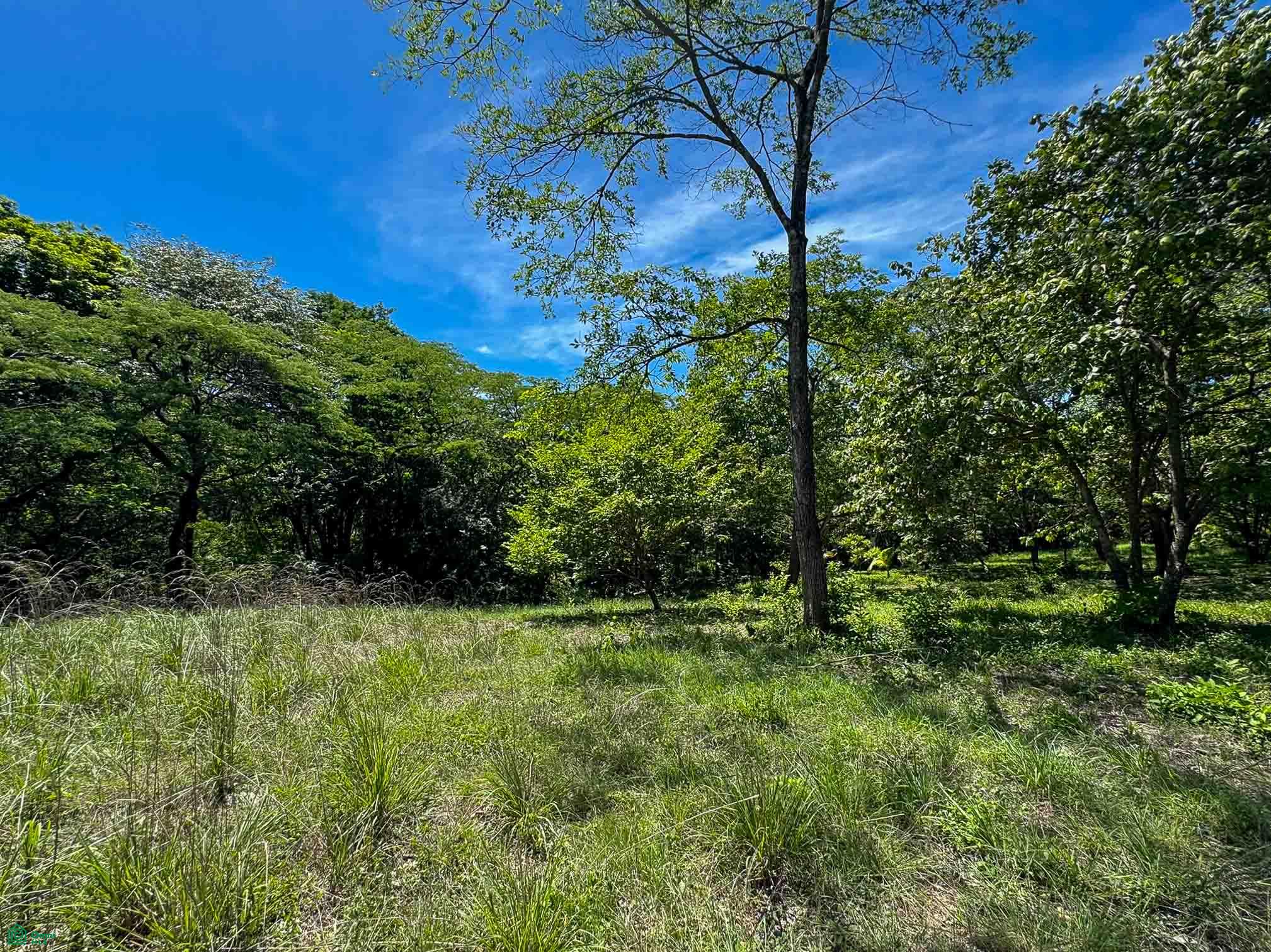 Acreage Estate Lot