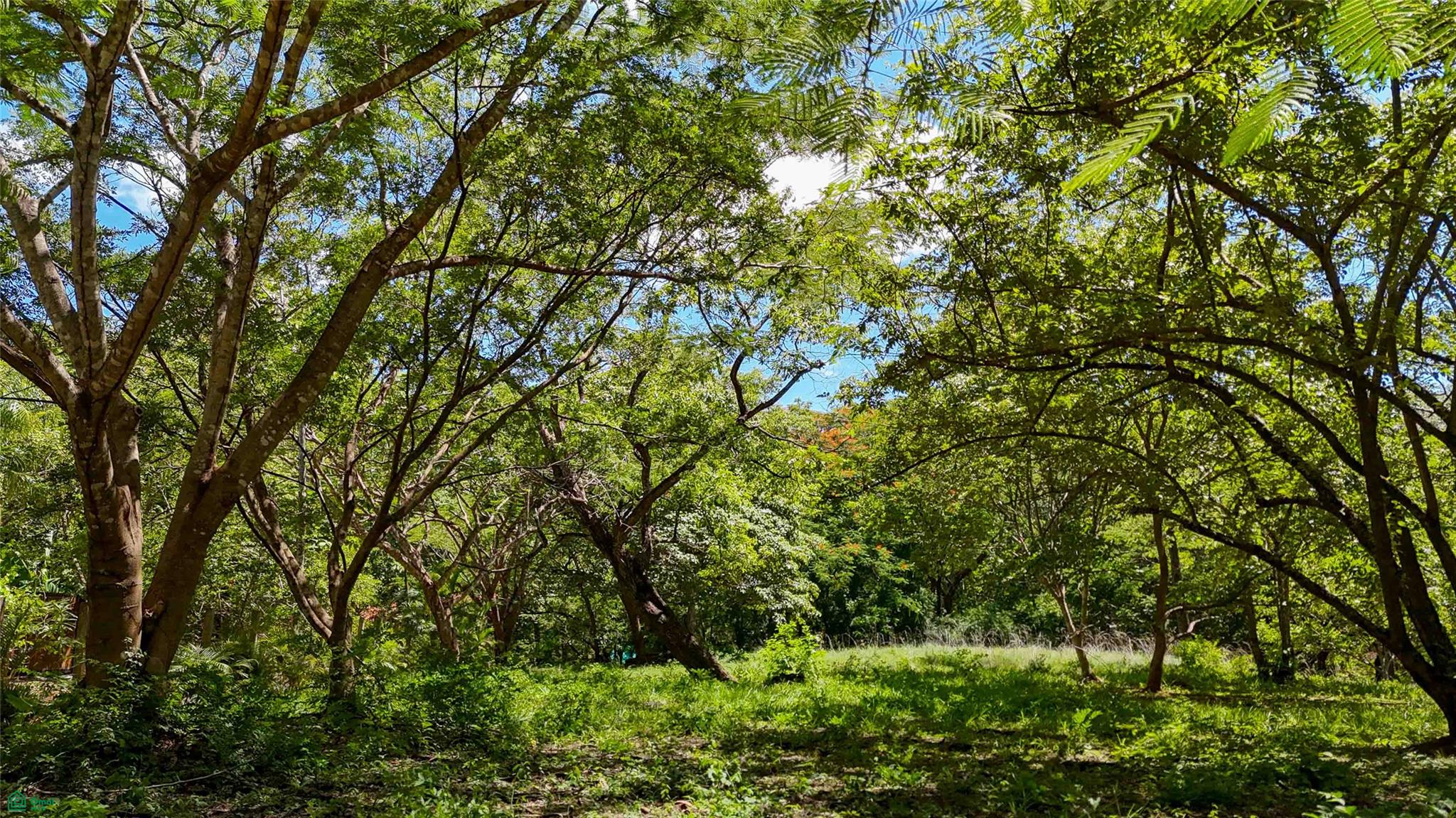 Acreage Estate Lot