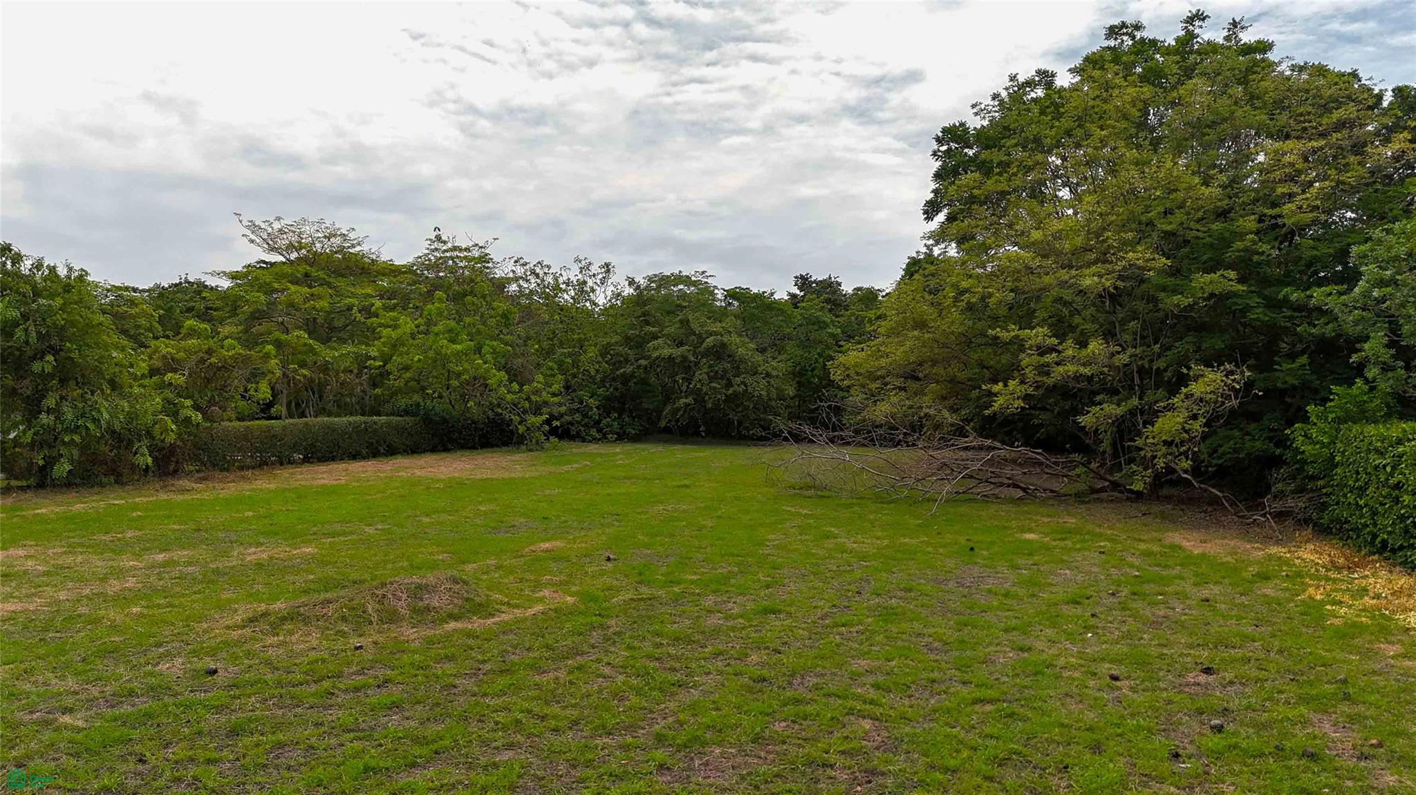 Expansive Luxury Homesite