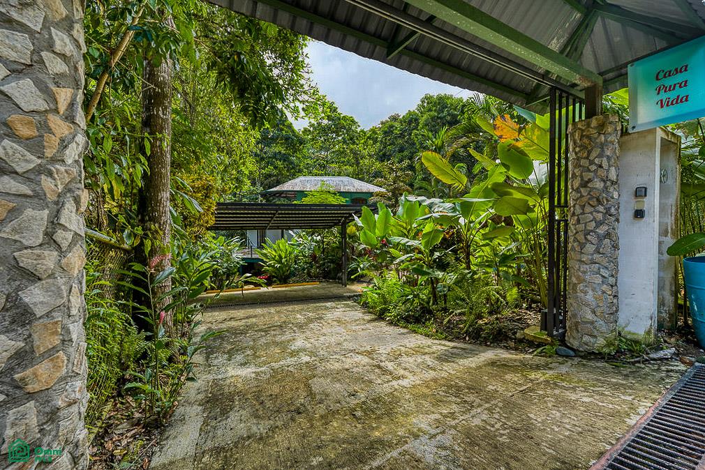 Modern Jungle Home