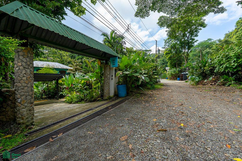 Modern Jungle Home