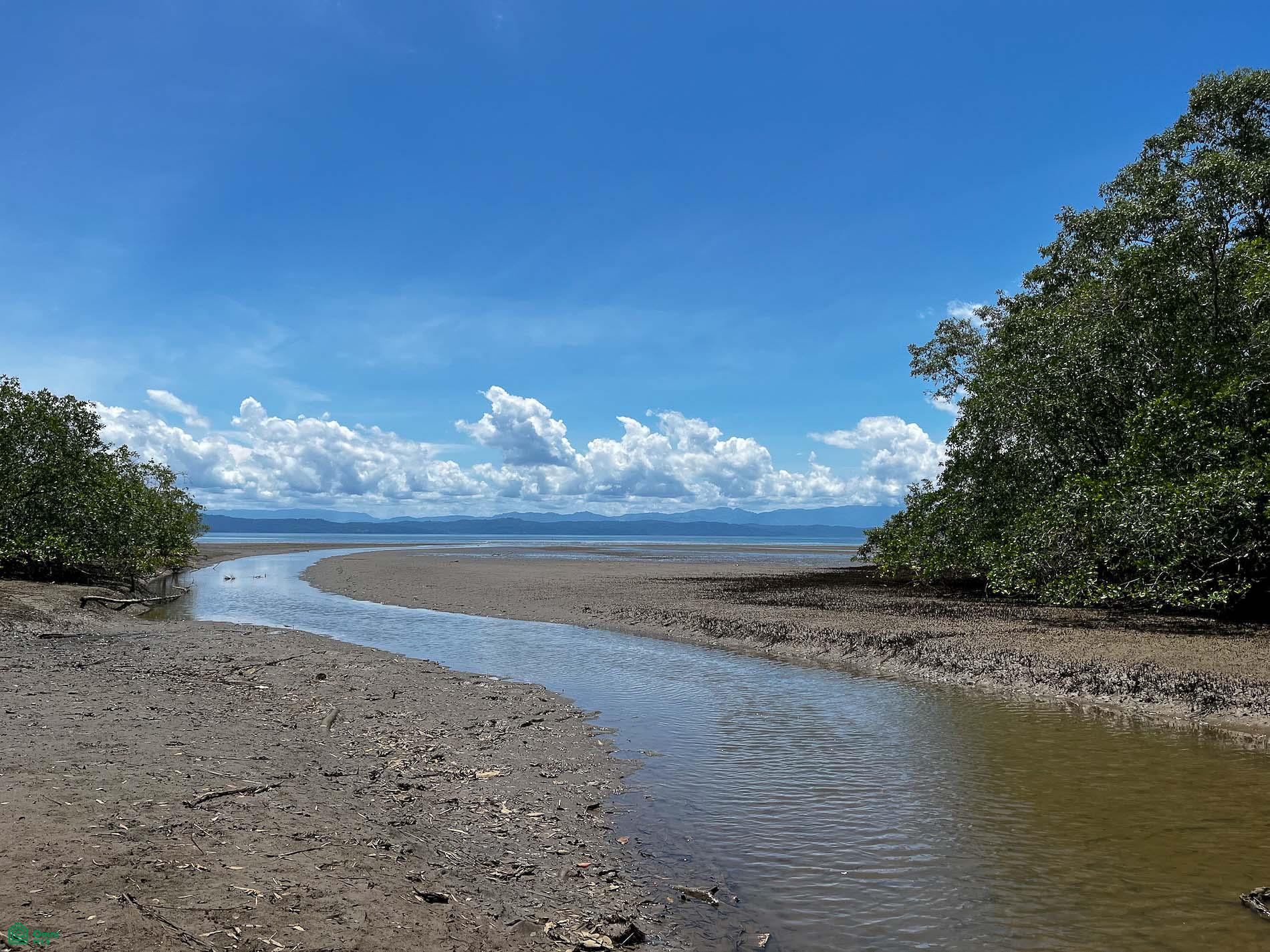 Waterfront Investment Property