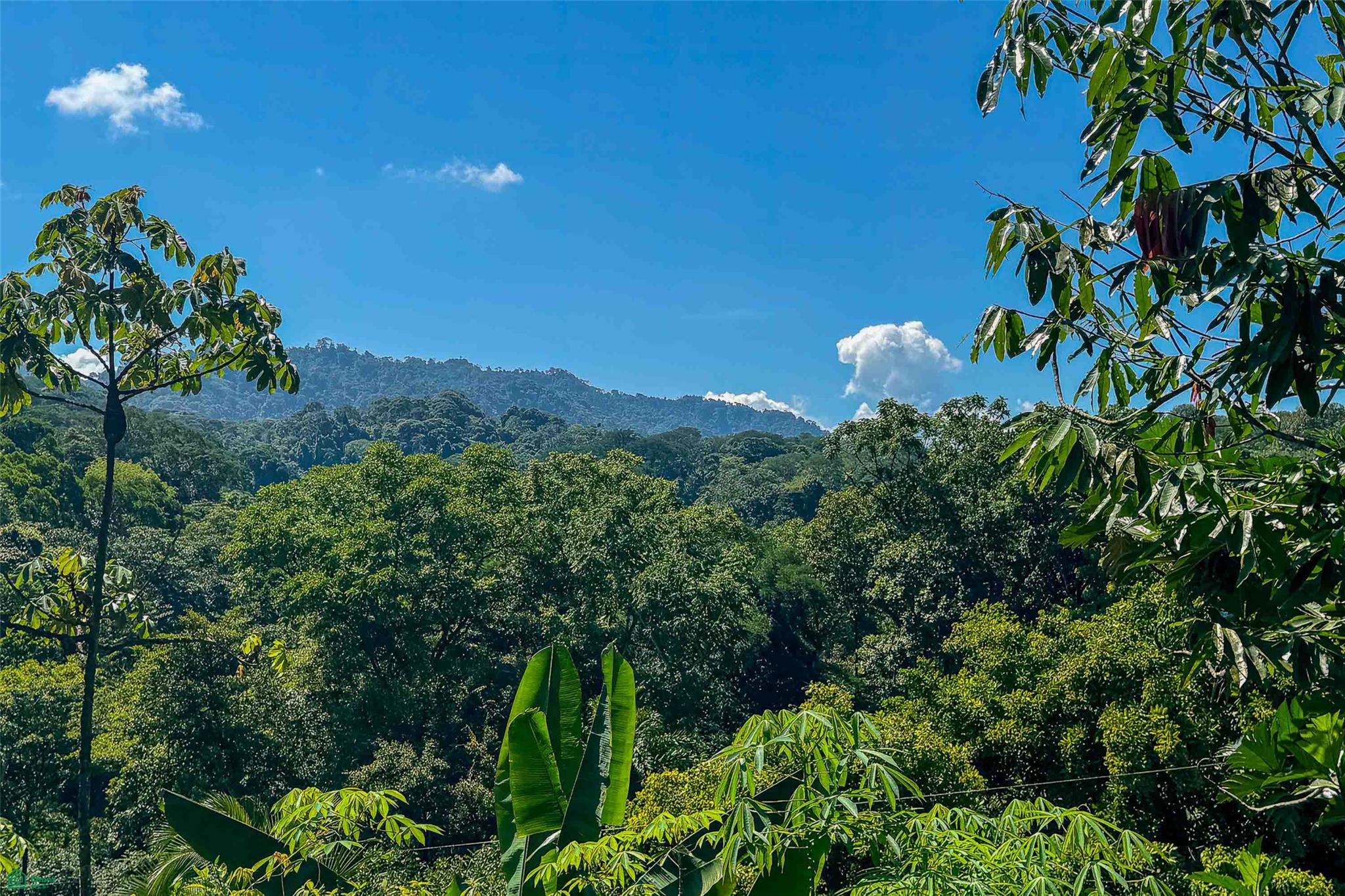 Mountain View Investment Land
